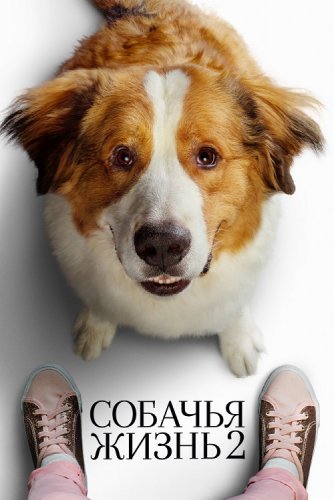 Постер к фильму Собачья жизнь 2 / A Dog's Journey (2019) BDRemux 1080p от селезень | Лицензия