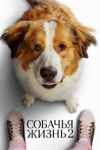 Собачья жизнь 2 / A Dog's Journey (2019) BDRip 1080p от селезень | Лицензия