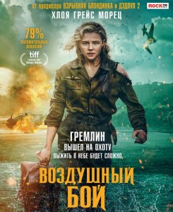 Воздушный бой / Shadow in the Cloud (2020) BDRemux 1080p от селезень | D, P | iTunes