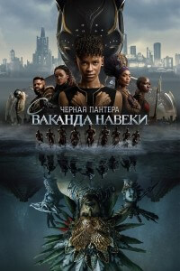 Чёрная Пантера: Ваканда навеки / Black Panther: Wakanda Forever (2022) WEB-DLRip-AVC от DoMiNo & селезень | D, P | IMAX