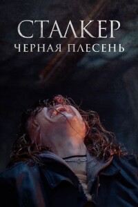 Сталкер. Черная плесень / Black Mold (2023) BDRip 720p от DoMiNo & селезень | D